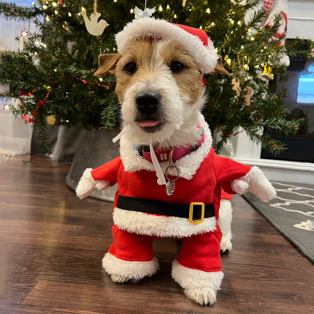 Winter Clothing Dress Up - クリスマス服犬猫新年サンタクロース衣装子犬コスプレ服おかしいペットドレスアップスーツホリデーパーティー衣装