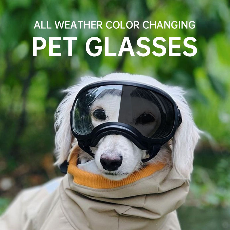 Snow Goggle Uv - 色が変わるペット用メガネ、犬用ゴーグル、犬用サングラス、スノーグラス、UVカット犬用サングラス