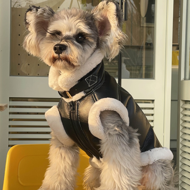 Winter Clothing For Dogs - 小型犬用のノースリーブベルベットベスト,厚い毛皮のコート,テディ,シュナウザー,ビション,子犬の服,秋冬,ペット,1個
