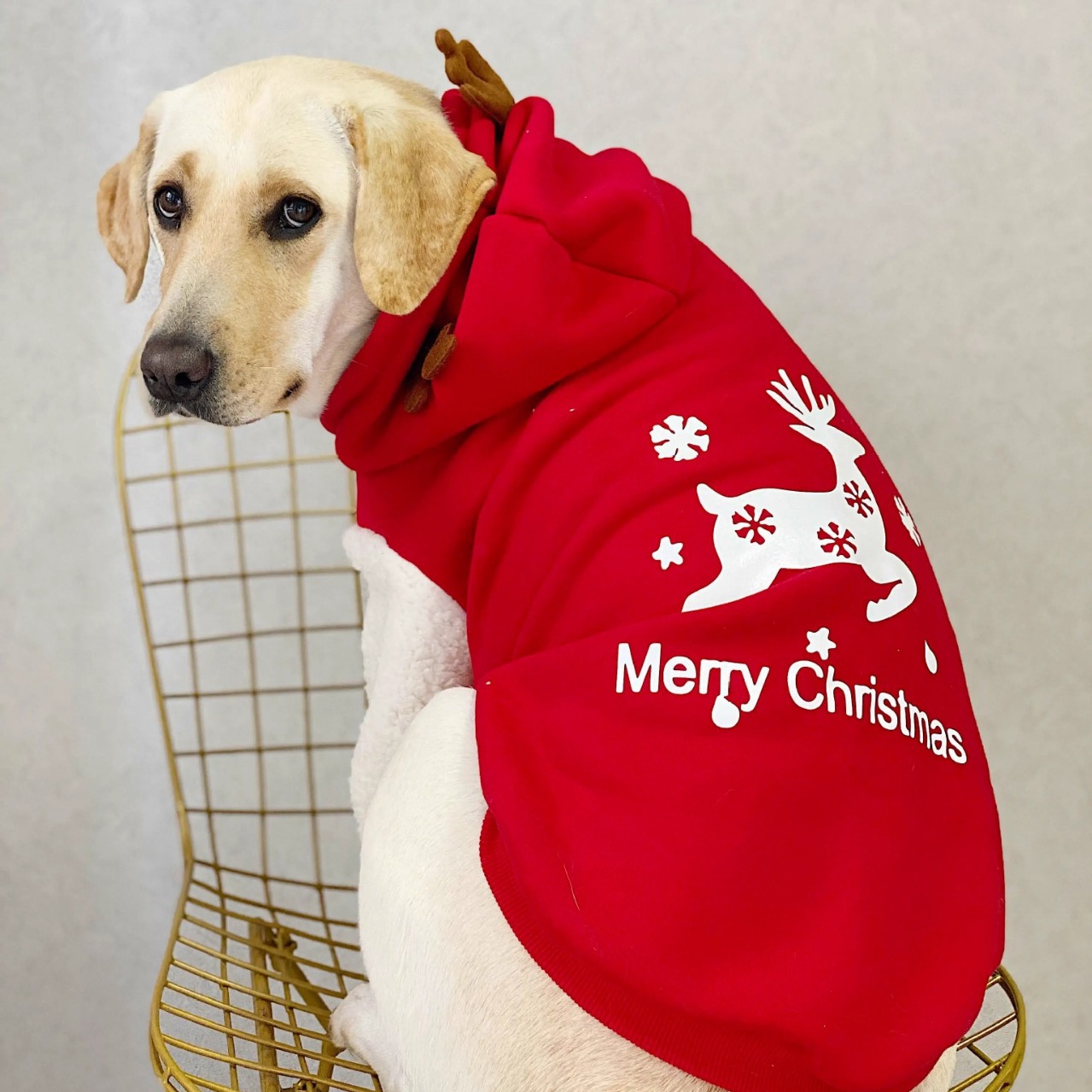 メーカーカスタム高品質冬用ドッグウェア、大型犬用冬用暖かいコ - Winter Clothing Manufacturers のレビューと価格