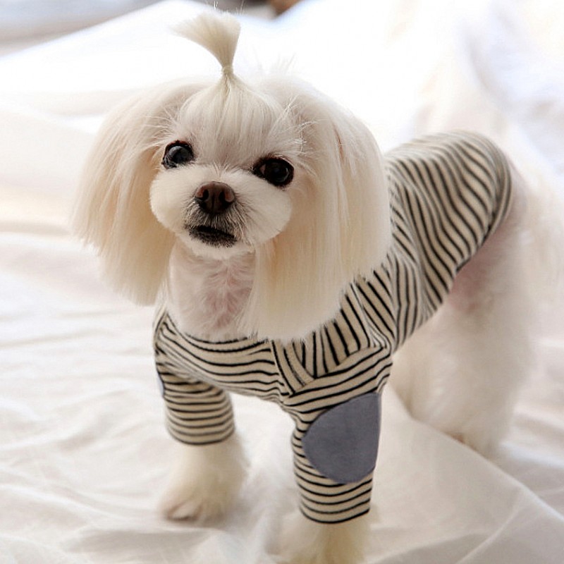 薄いペット犬用パーカーフリース犬用ベストストライプ犬服秋冬子 - Winter Clothing For Dogs のレビューと価格