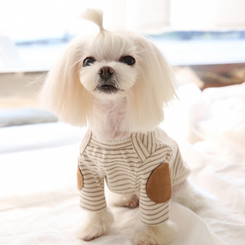 薄いペット犬用パーカーフリース犬用ベストストライプ犬服秋冬子 - Winter Clothing For Dogs のレビューと価格