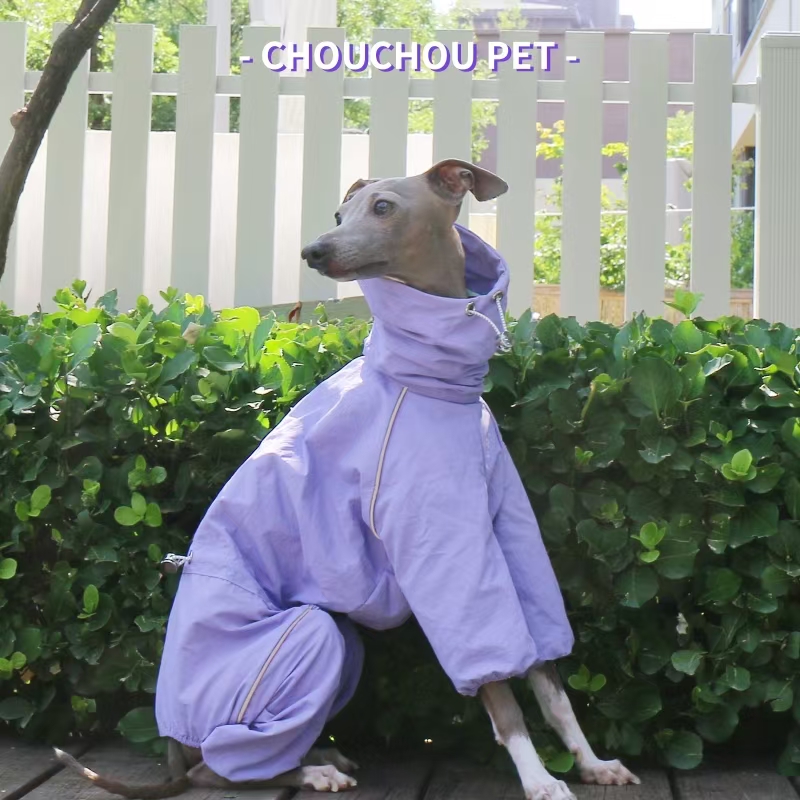 イタリアングレイハウンドレインコート秋冬用屋外ペットジャケッ - Winter Clothing For Dogs のレビューと価格