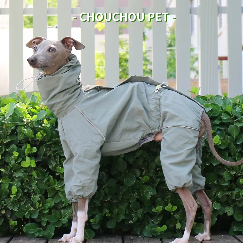 イタリアングレイハウンドレインコート秋冬用屋外ペットジャケッ - Winter Clothing For Dogs のレビューと価格
