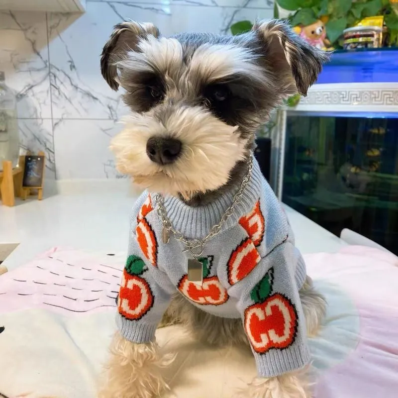 レターセーター ペット犬服 コットン スウェットシャツ 犬服 - Winter Clothing For Dogs のレビューと価格