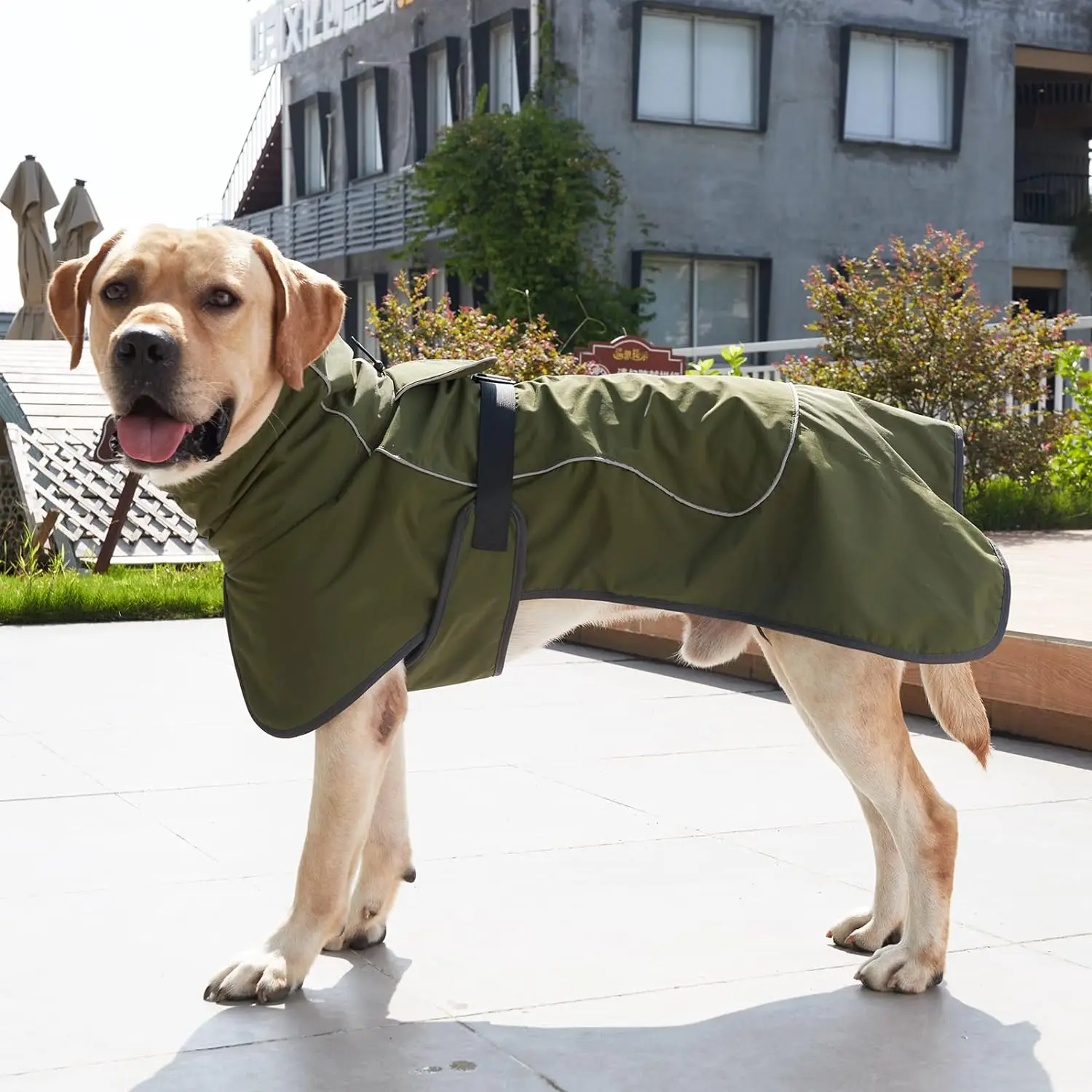 犬用の調節可能な防寒服,ハーネス付きベスト,寒い天候,防水ス - Winter Clothing For Dogs のレビューと価格