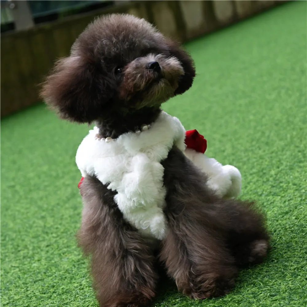 ペット用ウサギ毛皮ドレス服 可愛いリボン付き犬服 秋冬ウサギ - Winter Clothing For Dogs のレビューと価格