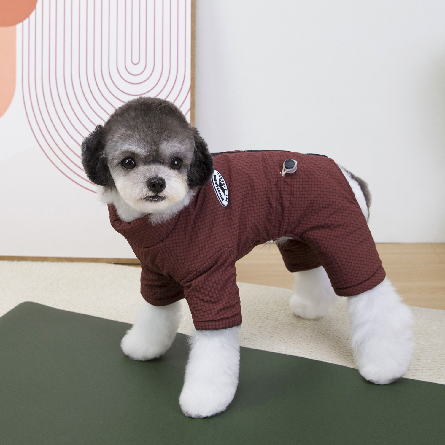 ペット犬服 ペット四足用綿入れ服 ペット服 秋冬用厚手新作2 - Winter Clothing For Dogs のレビューと価格