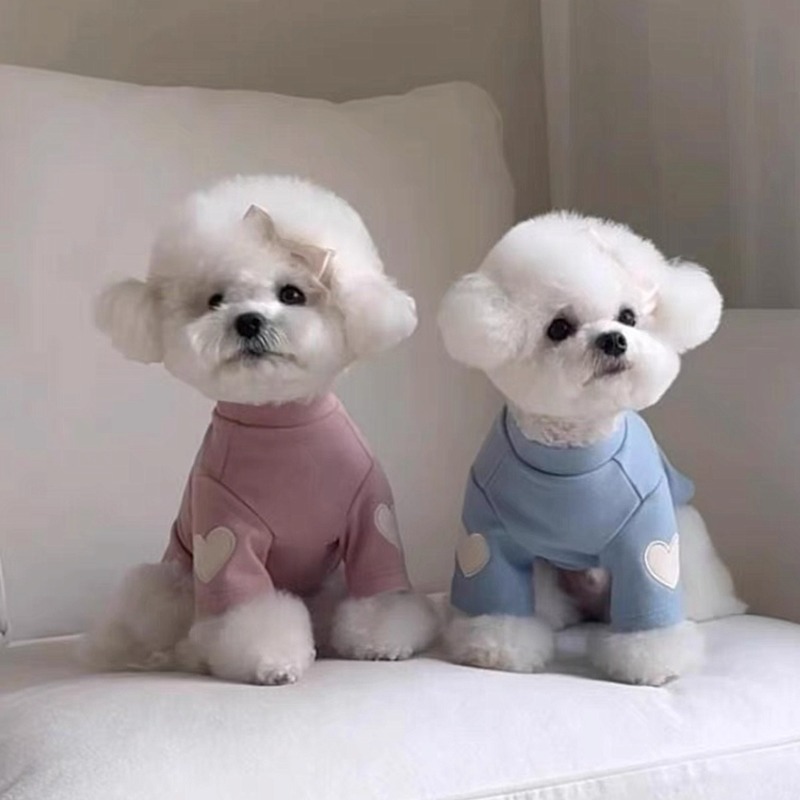 犬の刺繍が施されたスウェットシャツ,暖かい服,無地のテディ, - Winter Clothing For Dogs のレビューと価格