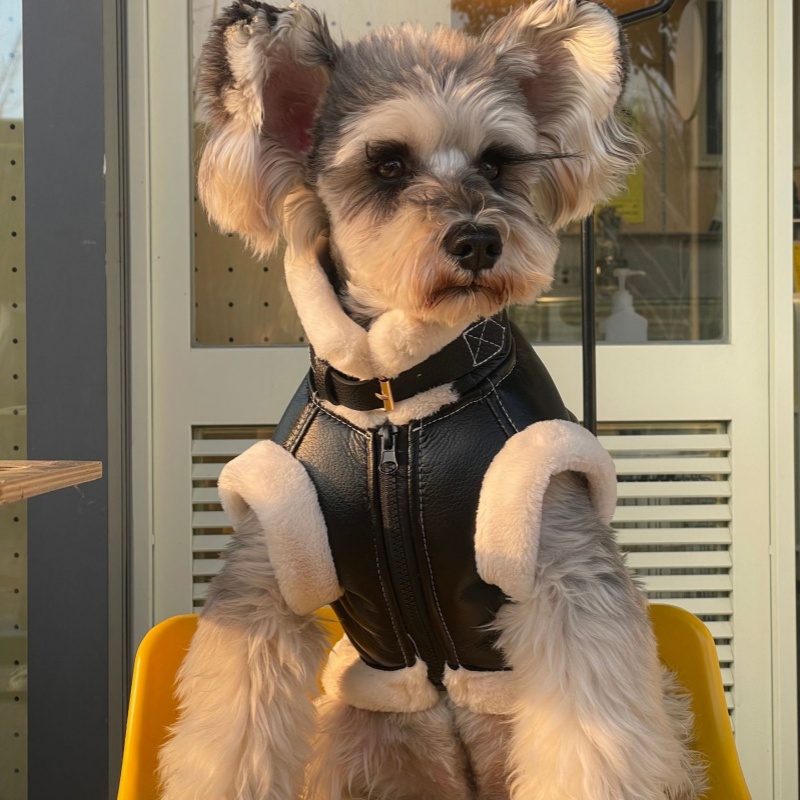 小型犬用のノースリーブベルベットベスト,厚い毛皮のコート,テ - Winter Clothing For Dogs のレビューと価格