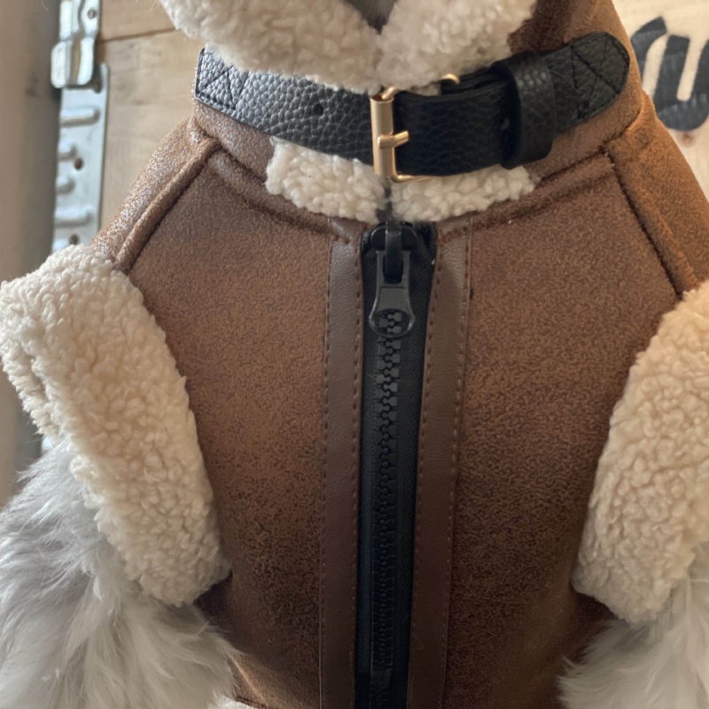 小型犬用のノースリーブベルベットベスト,厚い毛皮のコート,テ - Winter Clothing For Dogs のレビューと価格