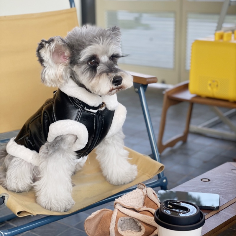 小型犬用のノースリーブベルベットベスト,厚い毛皮のコート,テ - Winter Clothing For Dogs のレビューと価格