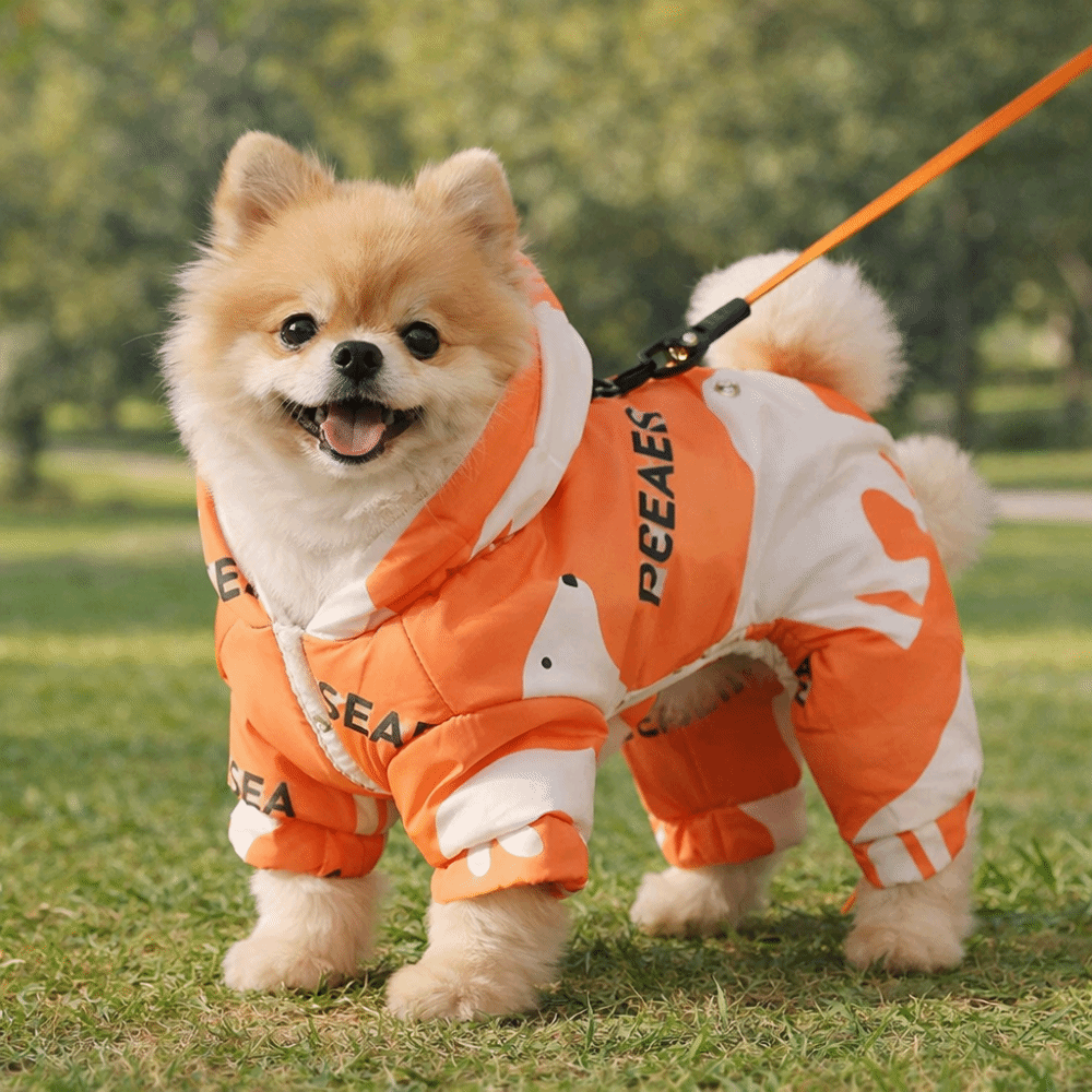 かわいい暖かい犬用冬服、抜け毛防止、厚手のペット用屋外服、防 - Winter Clothing For Dogs のレビューと価格